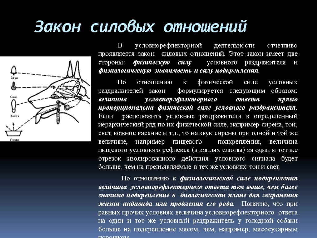 Закон силовых отношений В условнорефлекторной деятельности отчетливо проявляется закон силовых отношений. Этот закон имеет